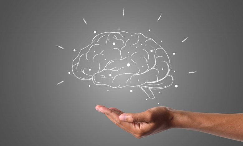 ilustración de cerebro en tiza sobre fondo gris / memoria / curiosidades sobre el cuerpo - Salud mental: 4 oligoelementos que preservan el cerebro - Alimenta tu mente: Descubre los 11 mejores alimentos para una salud cognitiva óptima