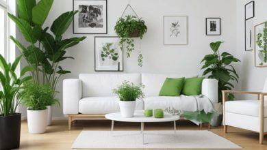 5 plantas para decorar la sala de tu casa - plantas que absorben el calor